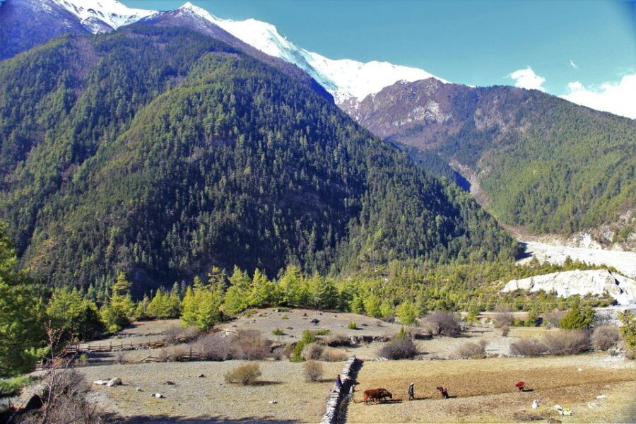 2 Best Helicopter Flights And Tours In Shree Muktinath Temple