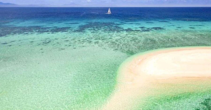From Port Douglas: Outer Reef Cruise by Luxury Catamaran - Good To Know