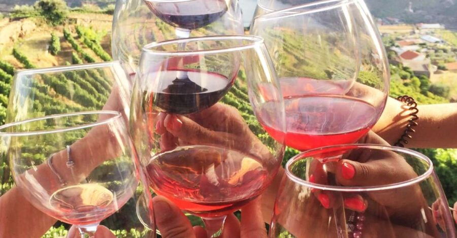 From Porto: a Day in the Douro Valley With Wine Tastings