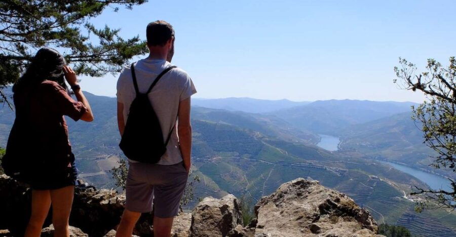 From Porto: Douro Region Private Food and Wine Day Tour - Good To Know