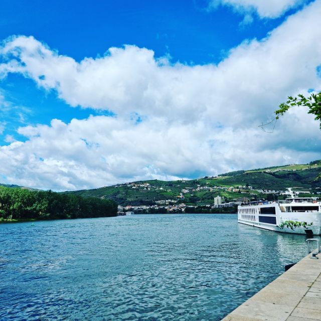 From Porto: Douro Valley Private Tour - Full Day - Good To Know