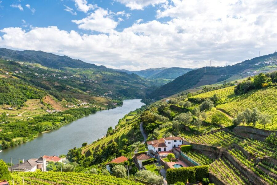 From Porto: Full-Day Douro Tour - Good To Know