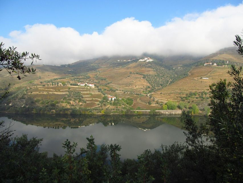 From Porto: Full-Day Douro Valley Wine Tour - Good To Know