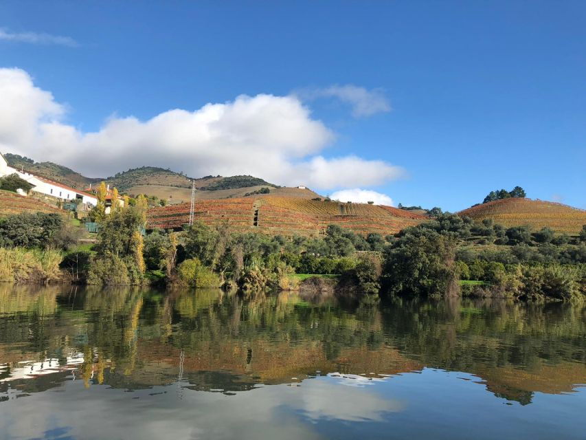 From Porto: Private Douro Valley Tour and Boat Cruise - Good To Know