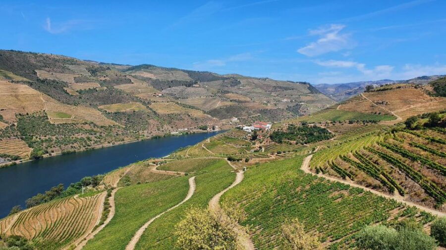From Porto Private Wine Tour Tasting, Train and Vinho Verde