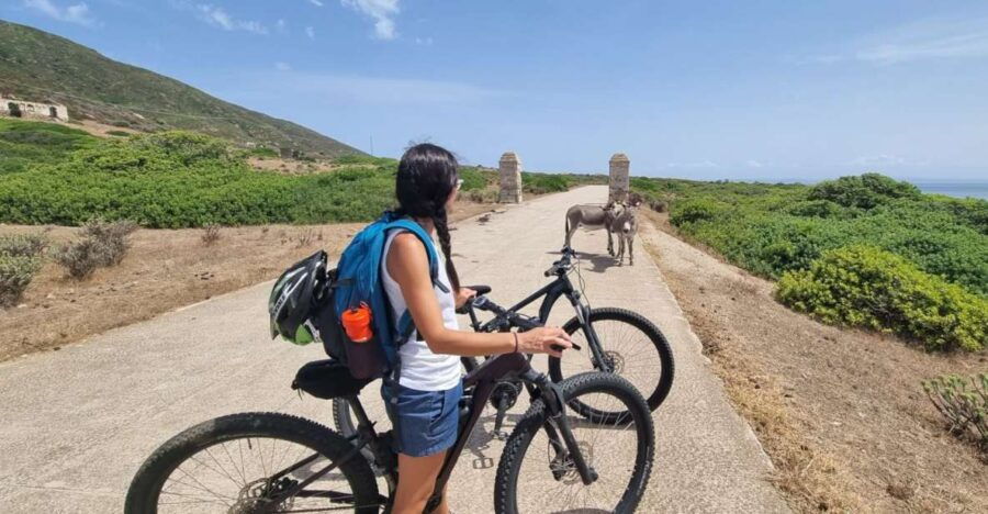 From Porto Torres: E-Bike Rental - Good To Know