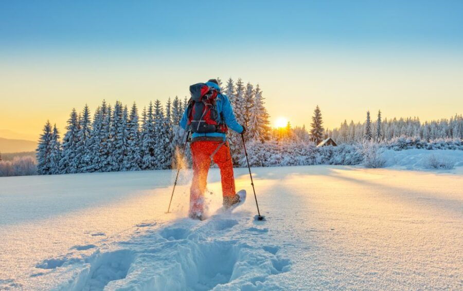 From Prague: Guided Snowshoe Tour With Mountain Views