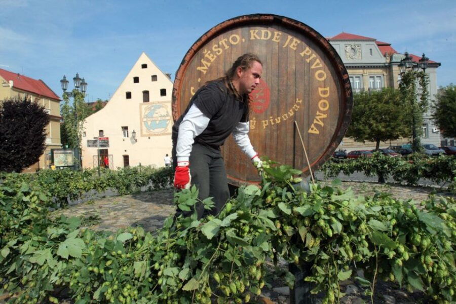 From Prague: Northern Bohemia Czech Beer Day Trip - Good To Know