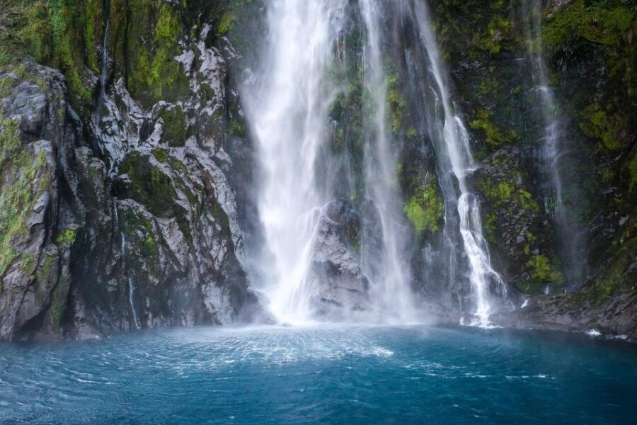 From Queenstown: Milford Sound Day Tour & Cruise - Polaroid - Good To Know