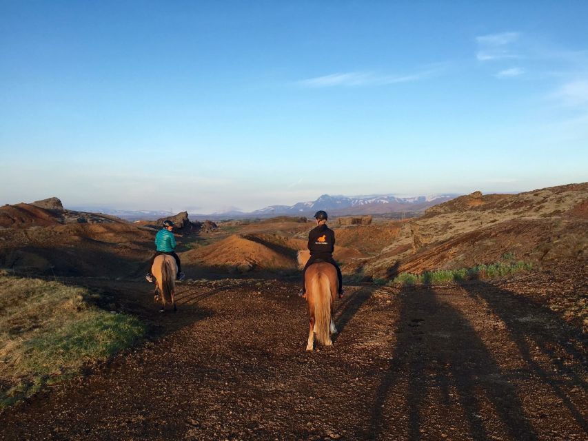 From Reykjavik: Evening Horseback Tour With Transfer - Good To Know