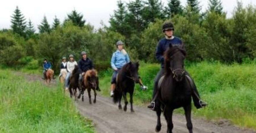 From Reykjavik: Full-Day Horse Riding & Golden Circle Tour - Good To Know