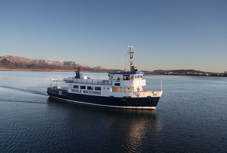 From Reykjavik: New Years Fireworks by Boat