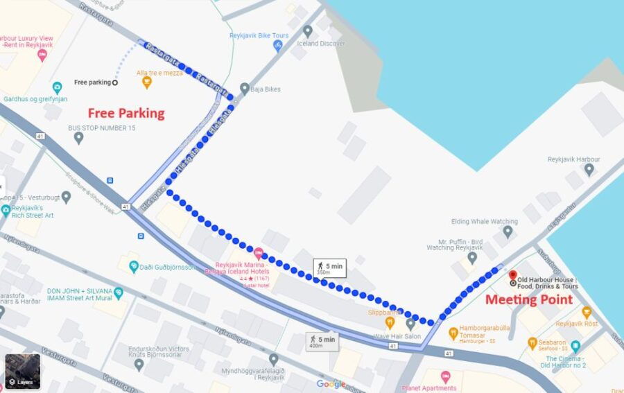 From Reykjavik: Northern Lights Sightseeing Cruise - Good To Know