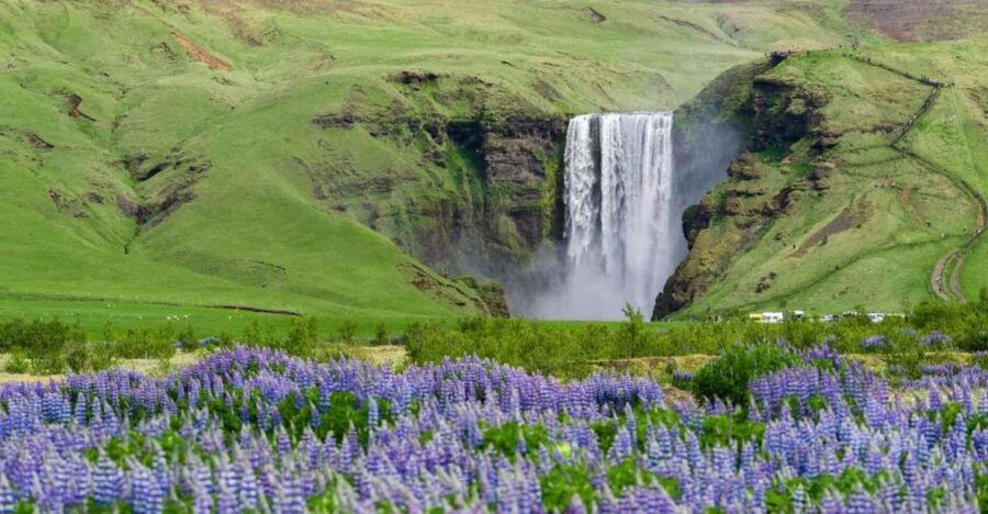 From Reykjavik: Private South Coast Tour
