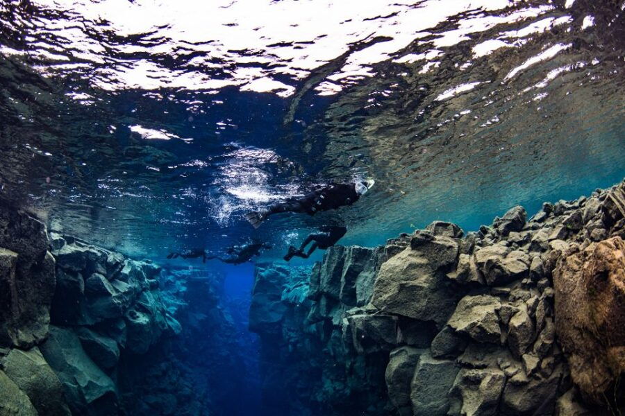 From Reykjavik: Silfra Snorkeling Between Tectonic Plates - Good To Know