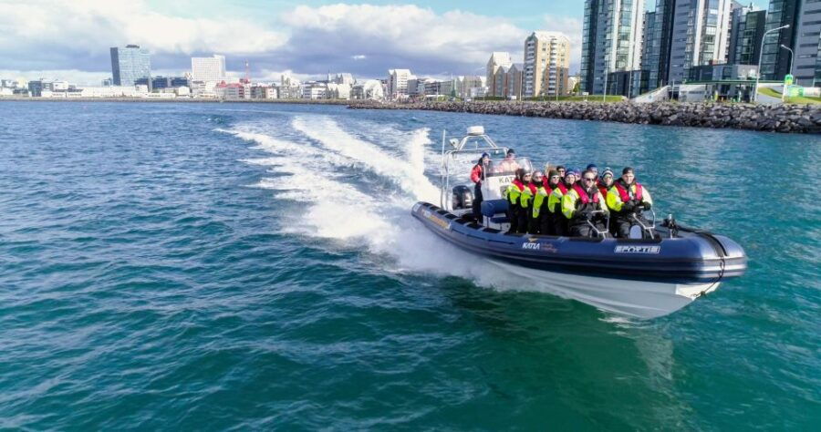 From Reykjavik: Whale Watching Tour by Speedboat - Good To Know