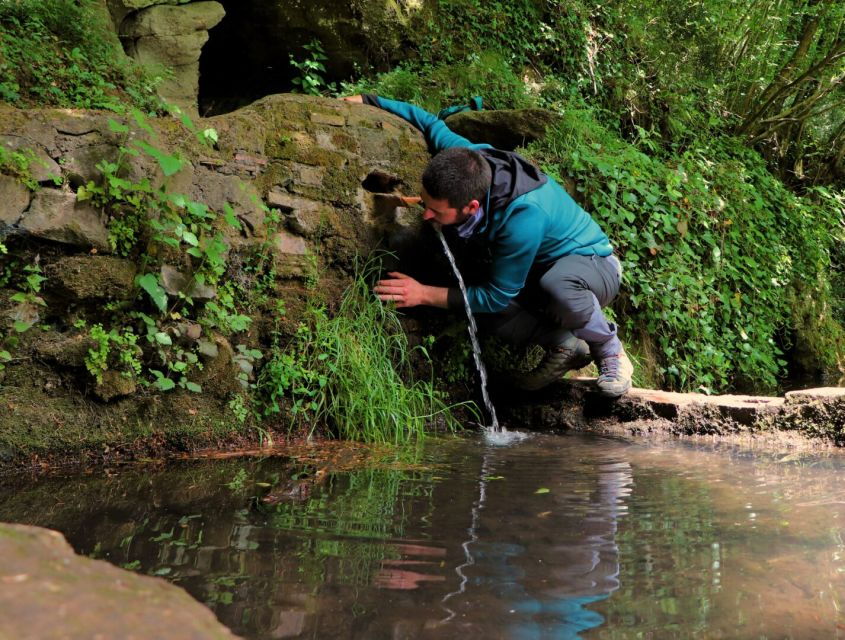 From Rome: via Sacra Romana and Lakes Hiking Tour With Pasta - Good To Know