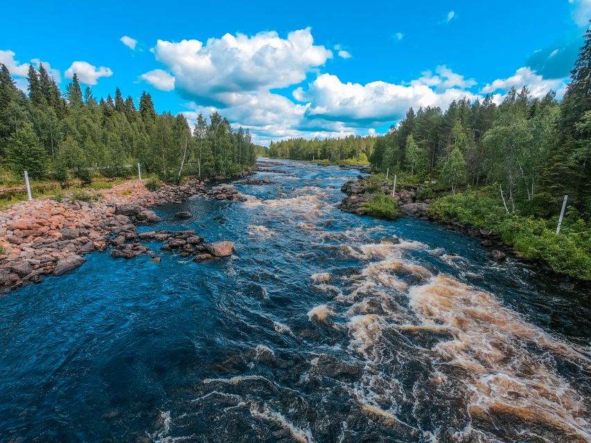 From Rovaniemi: Vikaköngäs Forest Hiking Tour With BBQ