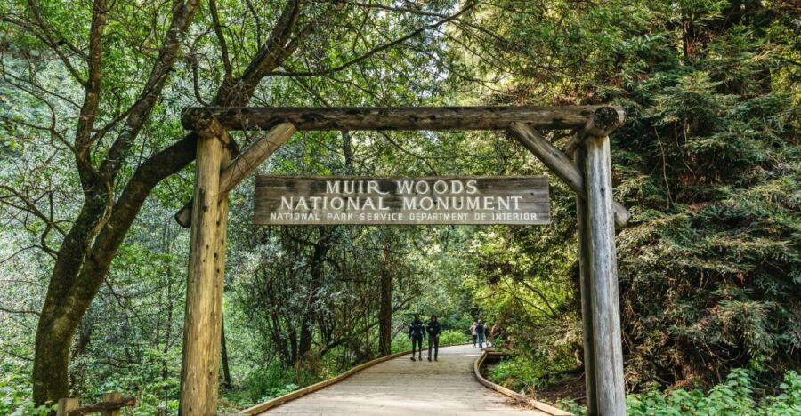 From San Francisco: Muir Woods National Monument Guided Tour - Good To Know