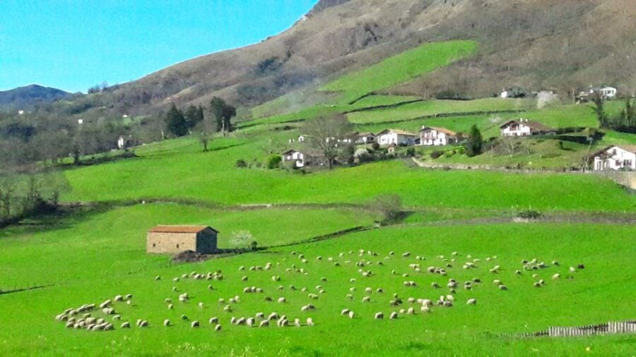 From San Sebastian: French-Basque Countryside Private Tour