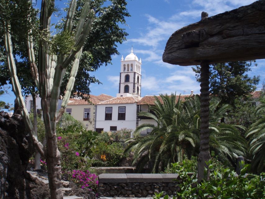 From Santa Cruz De Tenerife: Masca & Garachico Private Trip