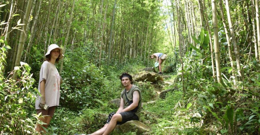 From Sapa: 2D1N Sapa Trekking Tour With Local Expert - Good To Know
