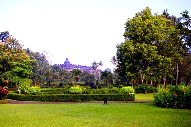 From Semarang Port : Shore Excursion to Borobudur Temple - Good To Know