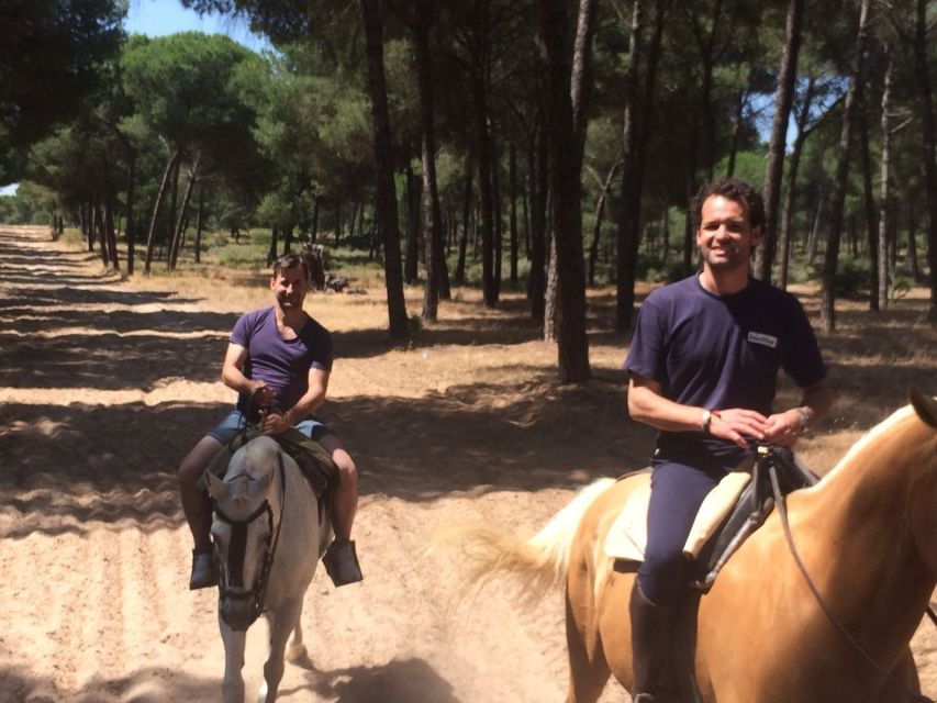 From Seville: 1.5H Horseback Riding Experience in Aljarafe - Good To Know