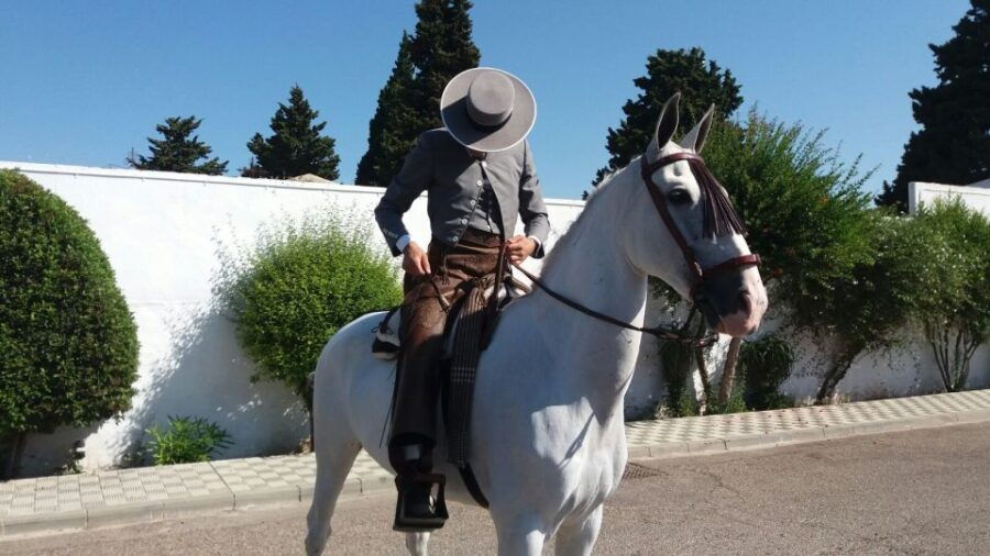 From Seville: Andalusian Horseback Ride - Good To Know