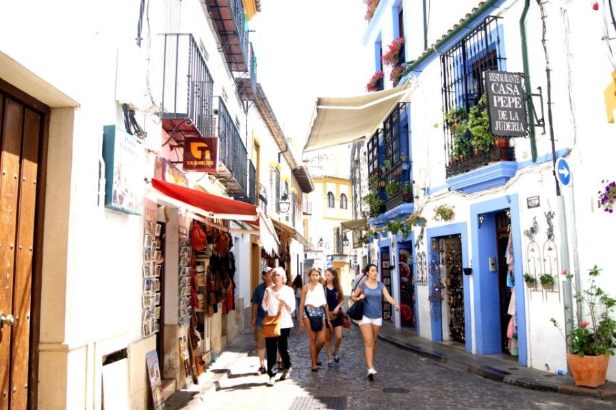 From Seville: Cordoba and Its Mosque Guided Day Trip - Good To Know