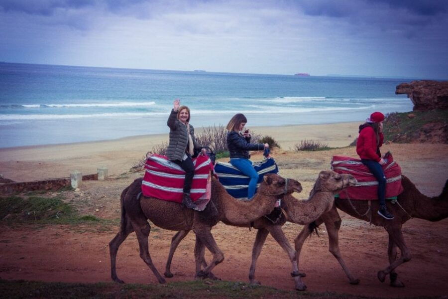 From Seville: Day Trip to Tangier With Guide and Meal - Good To Know