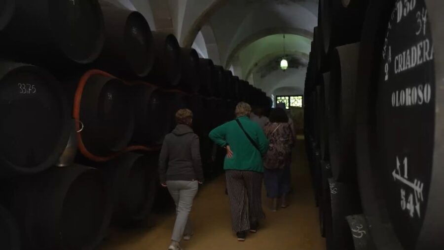 From Seville: Jerez, Cádiz and Andalusian Horses - Good To Know