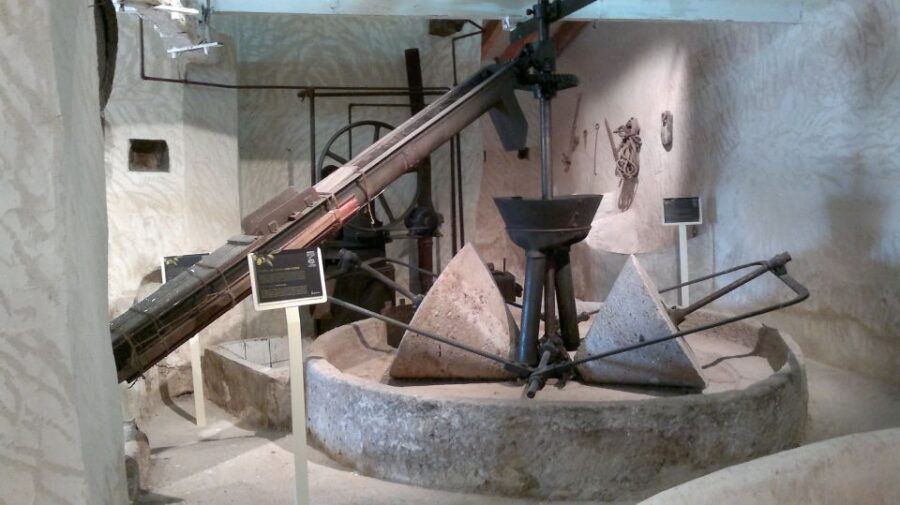 From Seville: Olive Oil Farm Tour - Good To Know