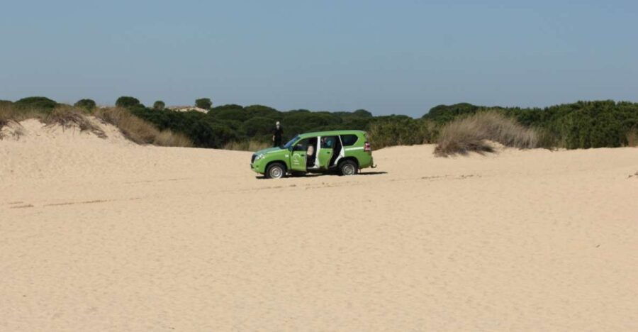 From Seville: Private Tour Doñana Park, El Rocio & Beach - Good To Know
