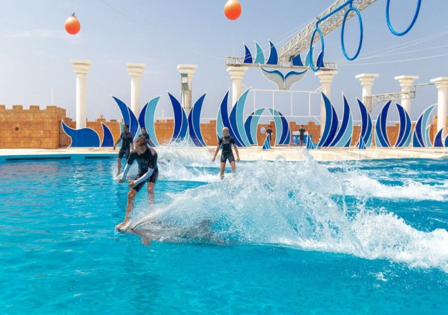 From Side/Alanya: Sealanya Dolphin Show With Hotel Transfers - Good To Know