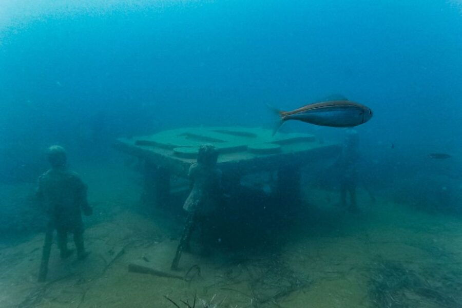 From Side: Full-Day Scuba Diving in Manavgat - Good To Know
