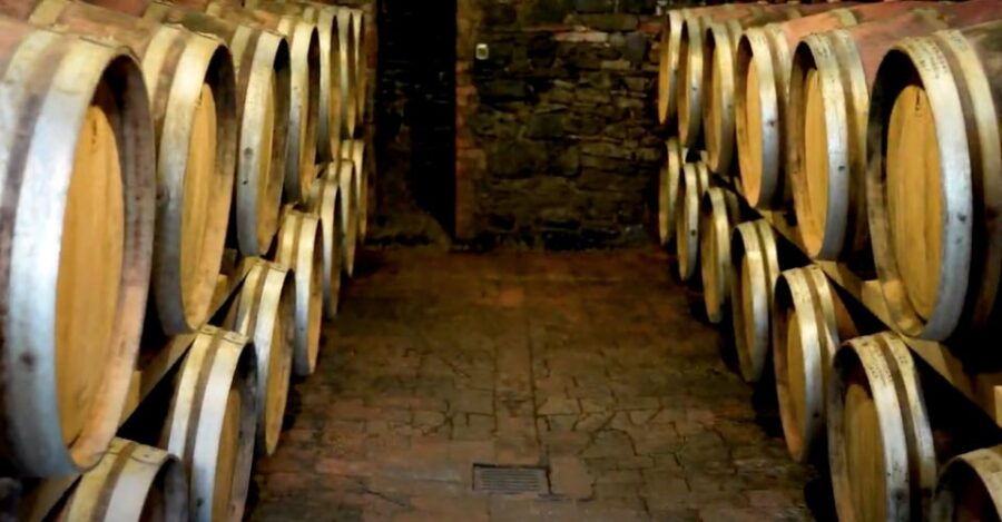 From Siena: Brunello Di Montalcino Wine Tour by Minivan