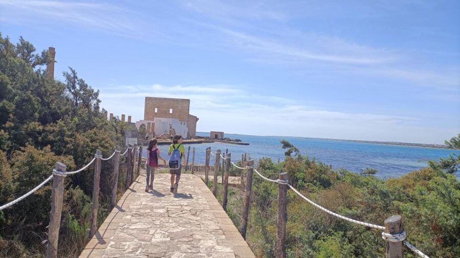 From Siracusa: Vendicari Nature Reserve Guided Tour - Good To Know