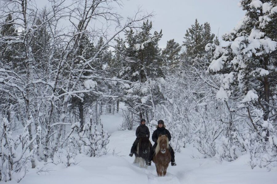 From Sirkka: Guided Wilderness Horse Riding Experience - Good To Know