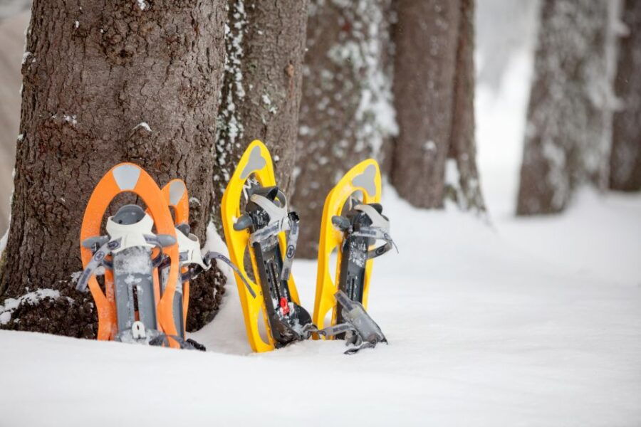 From Sirkka: Levi Summit Guided Nature Snowshoeing Tour - Good To Know