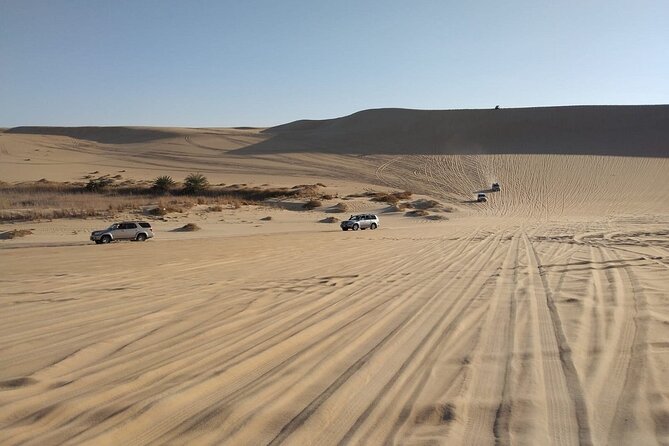 From Siwa: Sunset Desert Safari, Sand-board, Hot Spring & Dinner at Desert Camp - Good To Know
