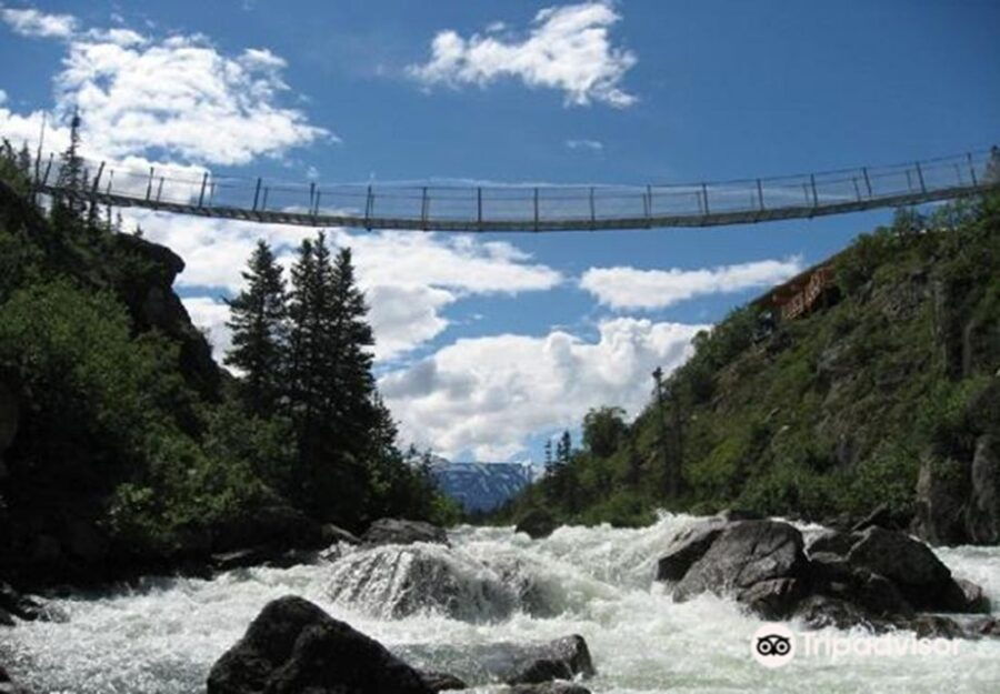From Skagway: White Pass and Yukon Suspension Bridge Tour - Good To Know