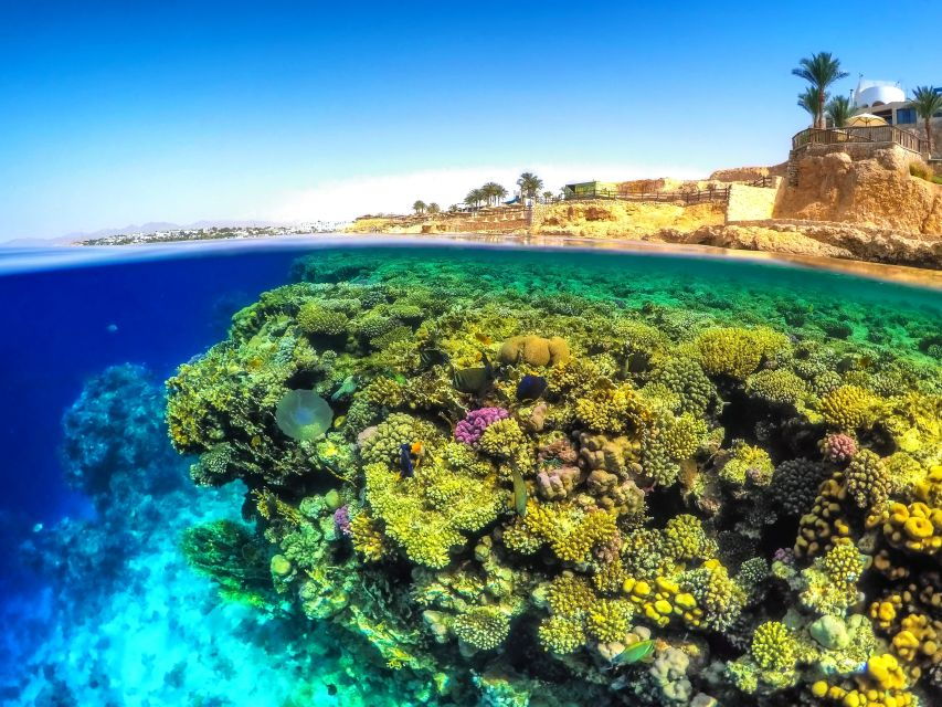 From Soma Bay and Makadi: Sharm El Naga Snorkeling Trip - Good To Know