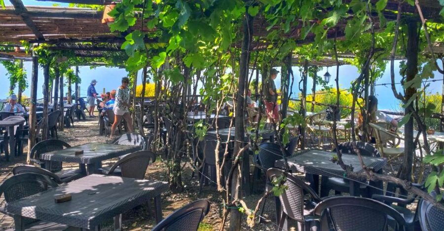 From Sorrento: Mount Vesuvius Tour With Lunch & Wine Tasting - Good To Know