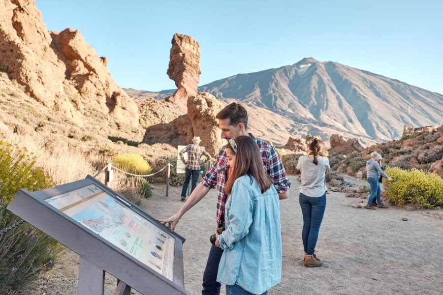 From South Tenerife: Full-Day VIP Island Tour
