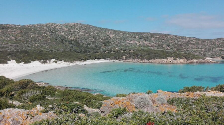 From Stintino: Asinara National Park Guided Tour by Minivan