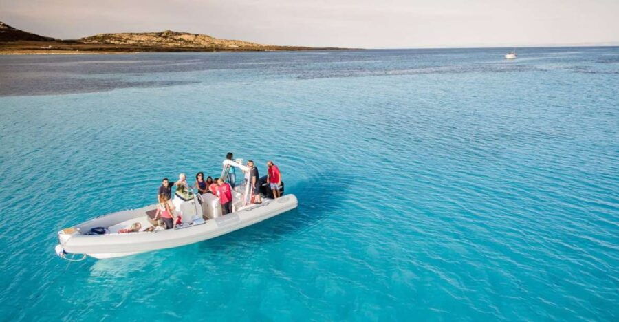 From Stintino: Half-Day RIB Tour in Asinara Gulf