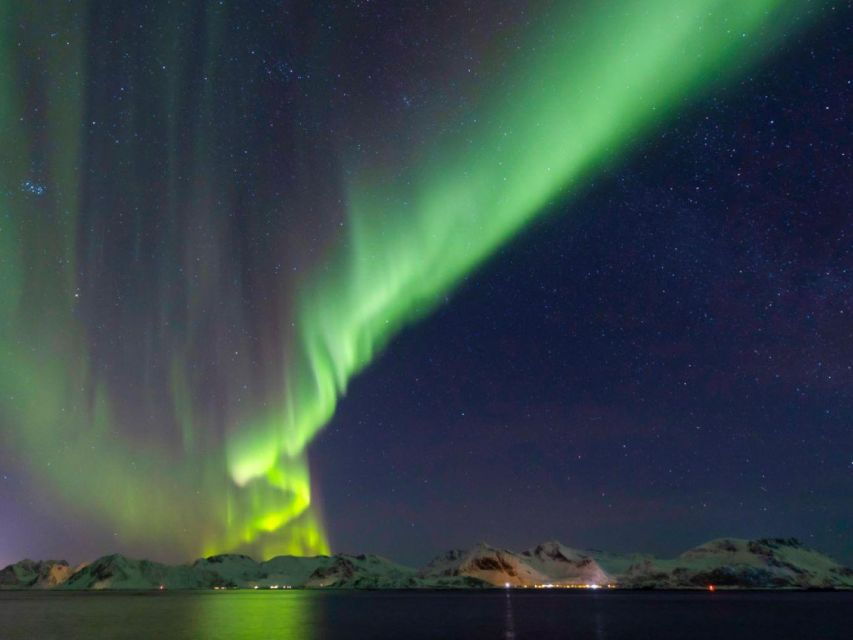 From Svolvær: Guided Northern Lights Tour by Van - Good To Know