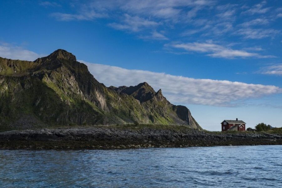 From Svolvaer: Trollfjorden Wildlife RIB Cruise - Good To Know