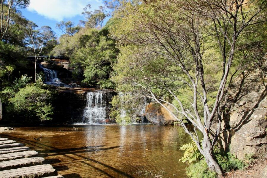From Sydney: Blue Mountains, Sydney Zoo & Scenic World Tour - Good To Know